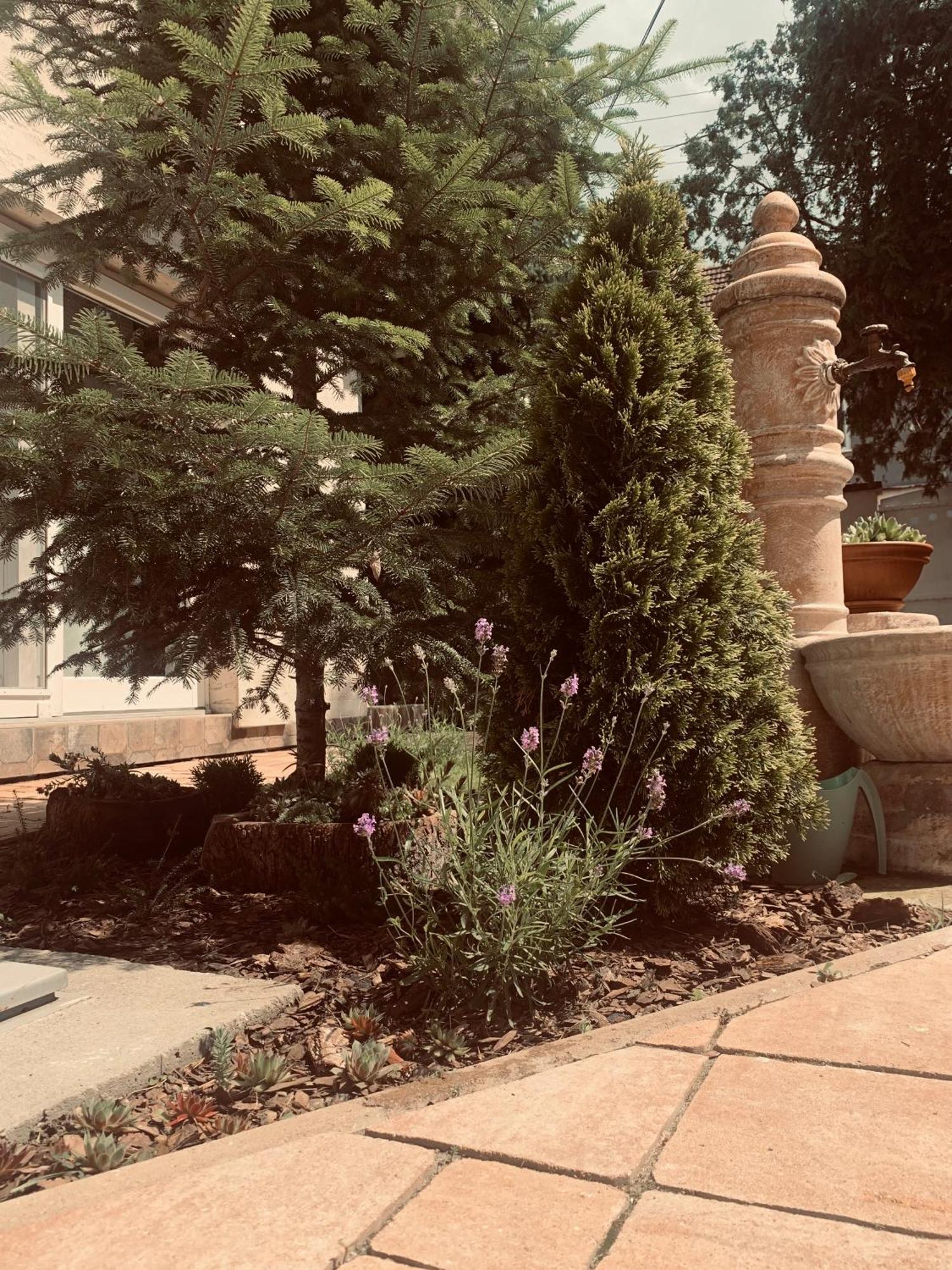 Apartament La Casa Tamaris Senta Zewnętrze zdjęcie